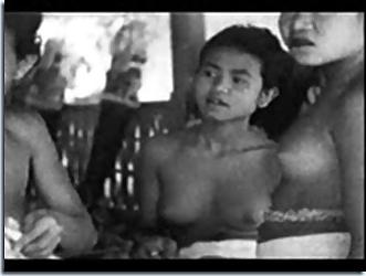 15P The Beauty of Vintage Indonesia