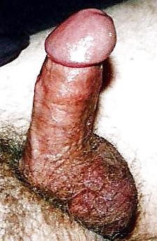 24P Me and my little cock, big gut and man boobs!