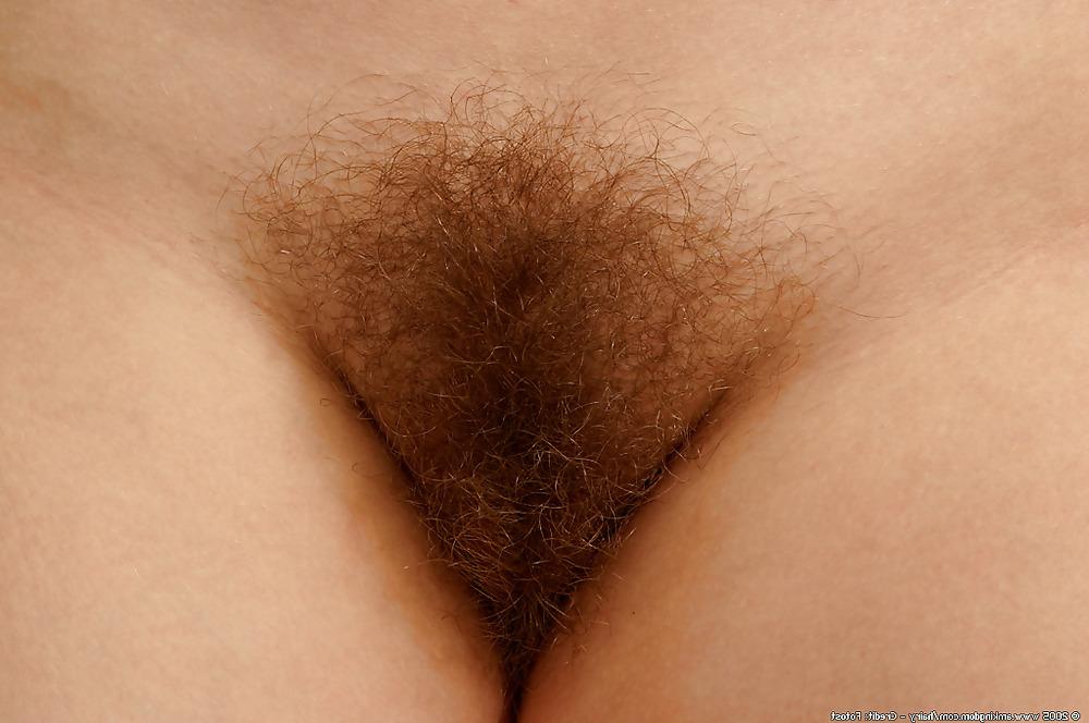 15P HAIRY AND YOUNG - Veronica