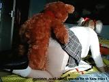 24P My wife's teddy bear