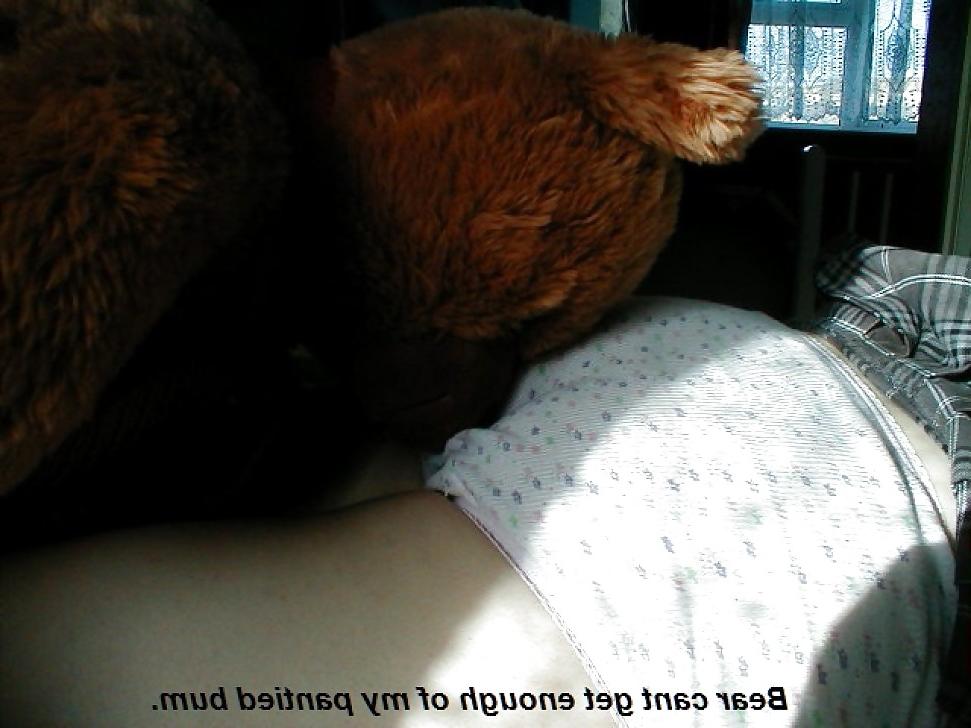 24P My wife's teddy bear
