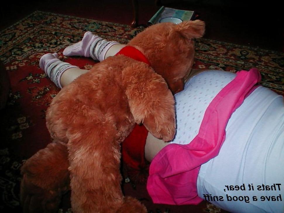 24P My wife's teddy bear