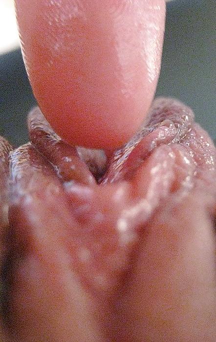 13P The Beauty of Amateur Cream Pie