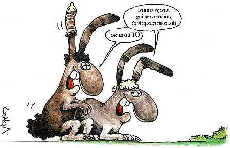14P Comic sexy