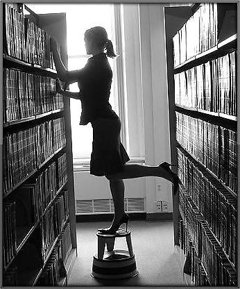 13P Librarian