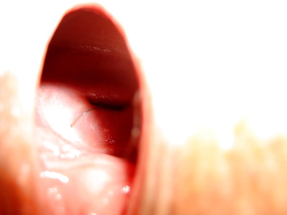 10P Wide open pussy