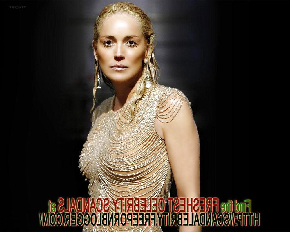 18P Sharon Stone See-Thru