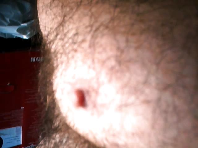 6P Red bear