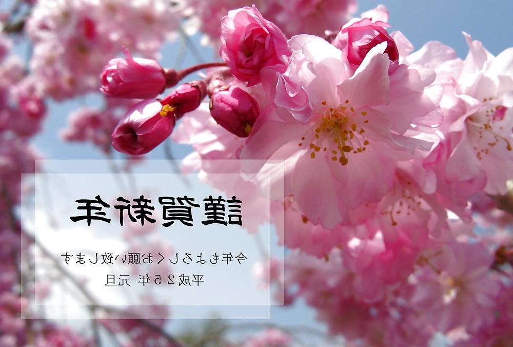 12P HAPPY NEW YEAR      JAPANESE NENGAJYO