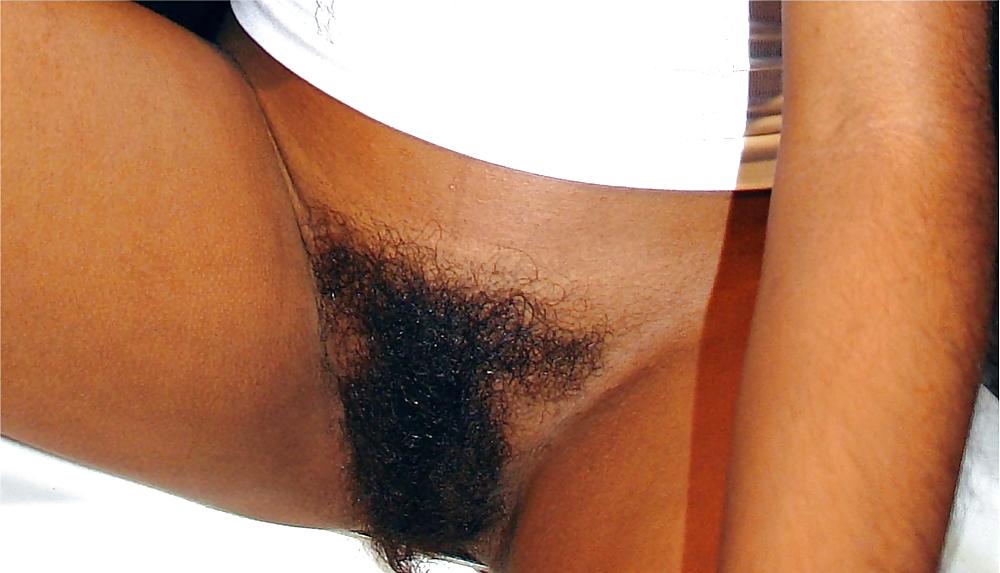 22P Black Beauty