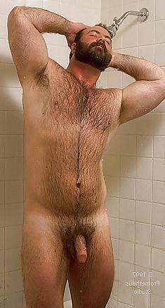 15P My Bear Favorito