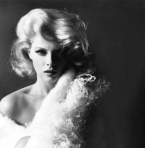 25P Sexy and Hot VIRNA LISI Celebrity with all natural beauty