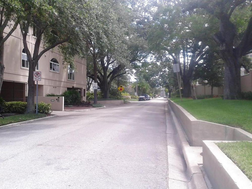 12P THIS IS CLITLICKER2014 : BEAUTIFUL TAMPA BAY, FLORIDA