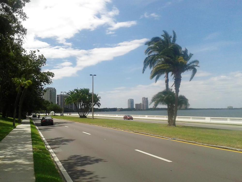 12P THIS IS CLITLICKER2014 : BEAUTIFUL TAMPA BAY, FLORIDA