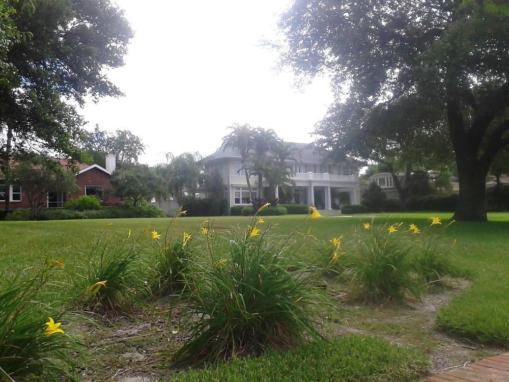 12P THIS IS CLITLICKER2014 : BEAUTIFUL TAMPA BAY, FLORIDA