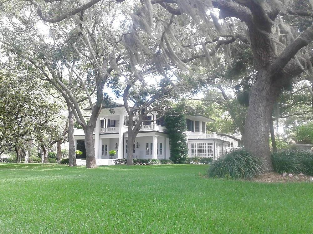 12P THIS IS CLITLICKER2014 : BEAUTIFUL TAMPA BAY, FLORIDA