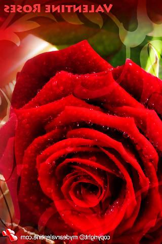 6P HAPPY SEXY VALENTINE 