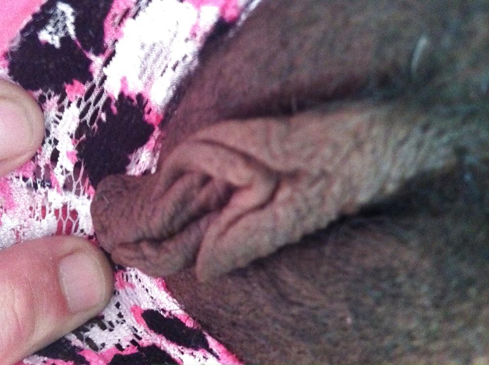 6P Very happy swollen pussy