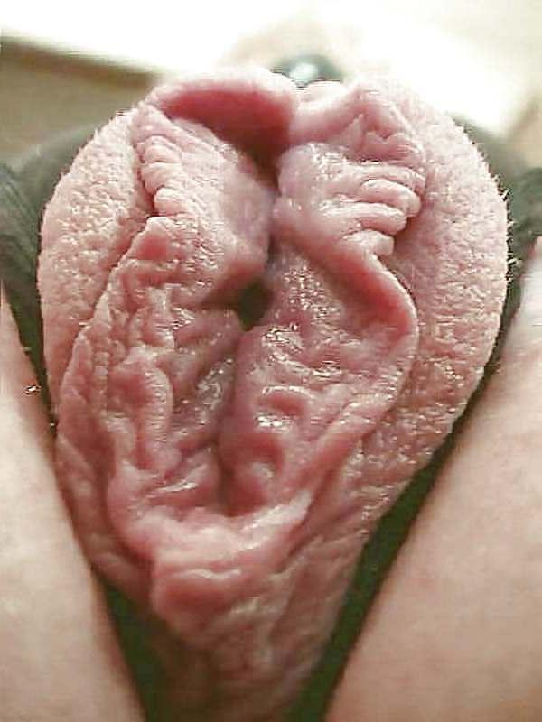 25P Meine Leibspeise Schamlippen