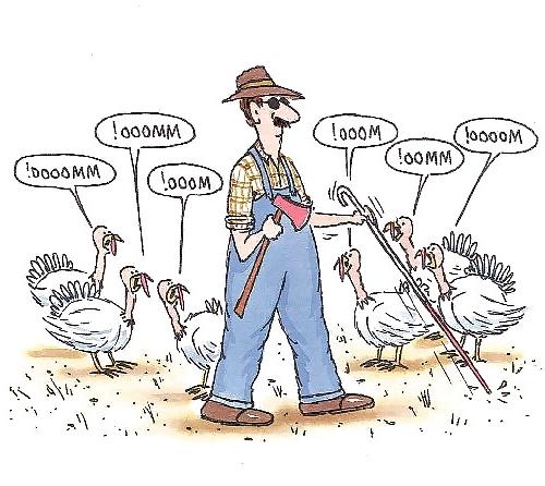 11P Happy Thanksgiving