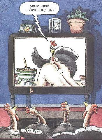 11P Happy Thanksgiving