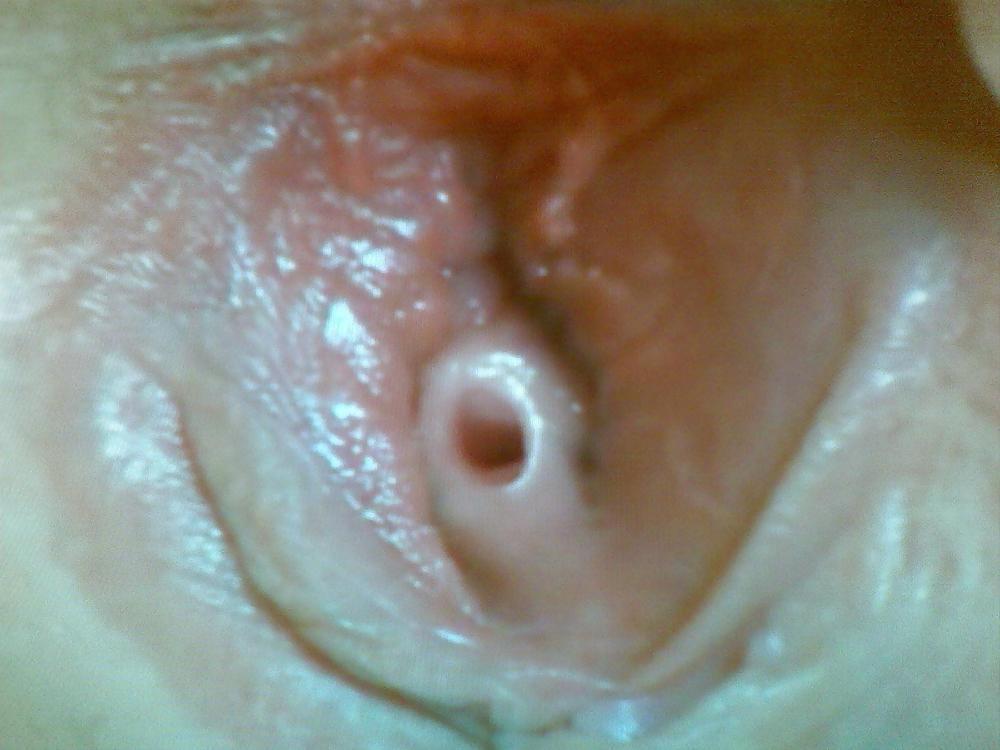 17P The Beauty of Amateur Cream Pie