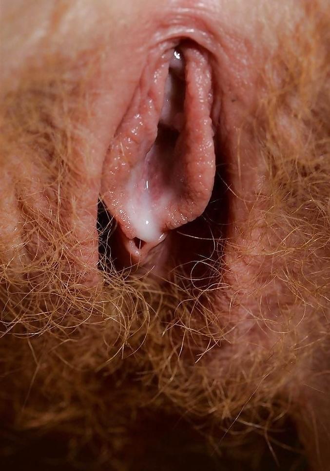 17P The Beauty of Amateur Cream Pie