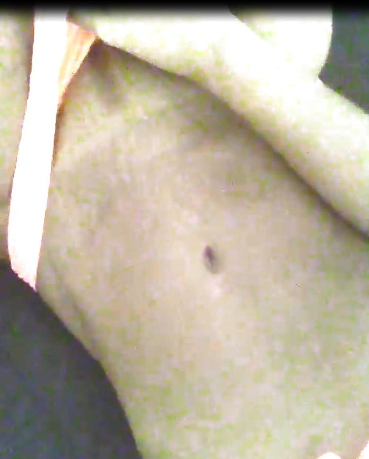 22P Mature Wife Self Pics