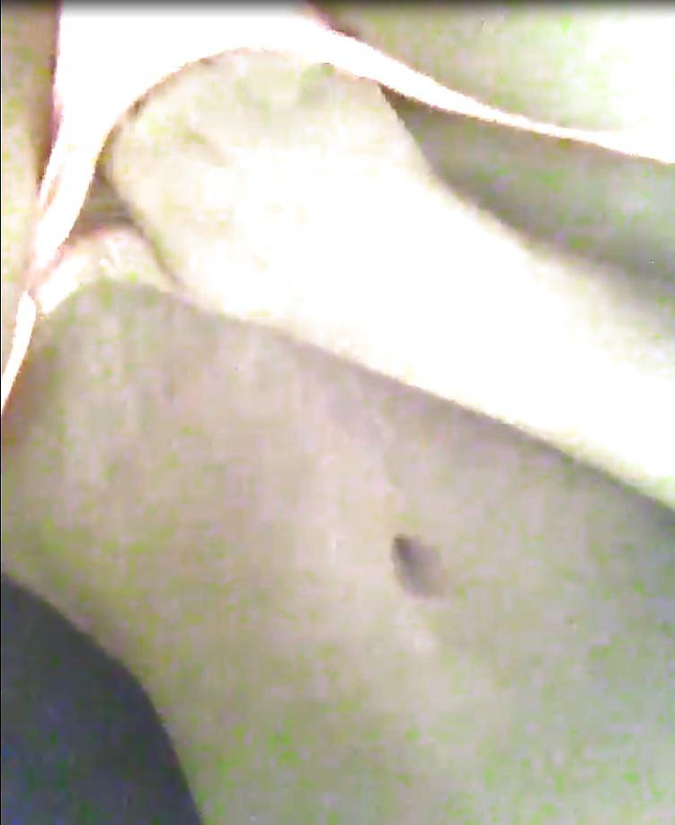 22P Mature Wife Self Pics