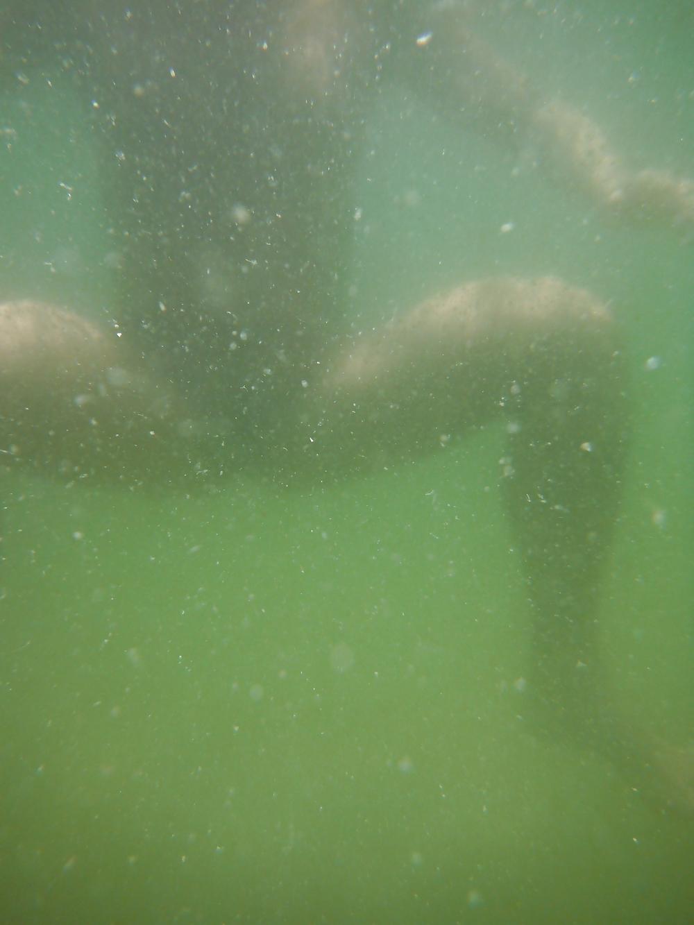 19P OCEAN BEACH NATURISTE