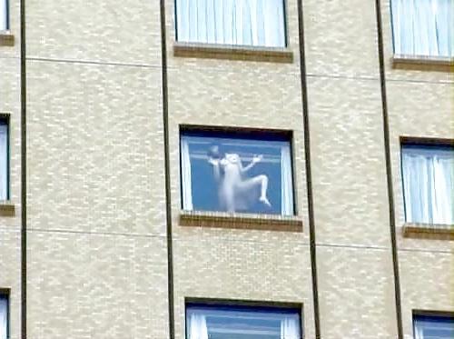 25P Through The Window