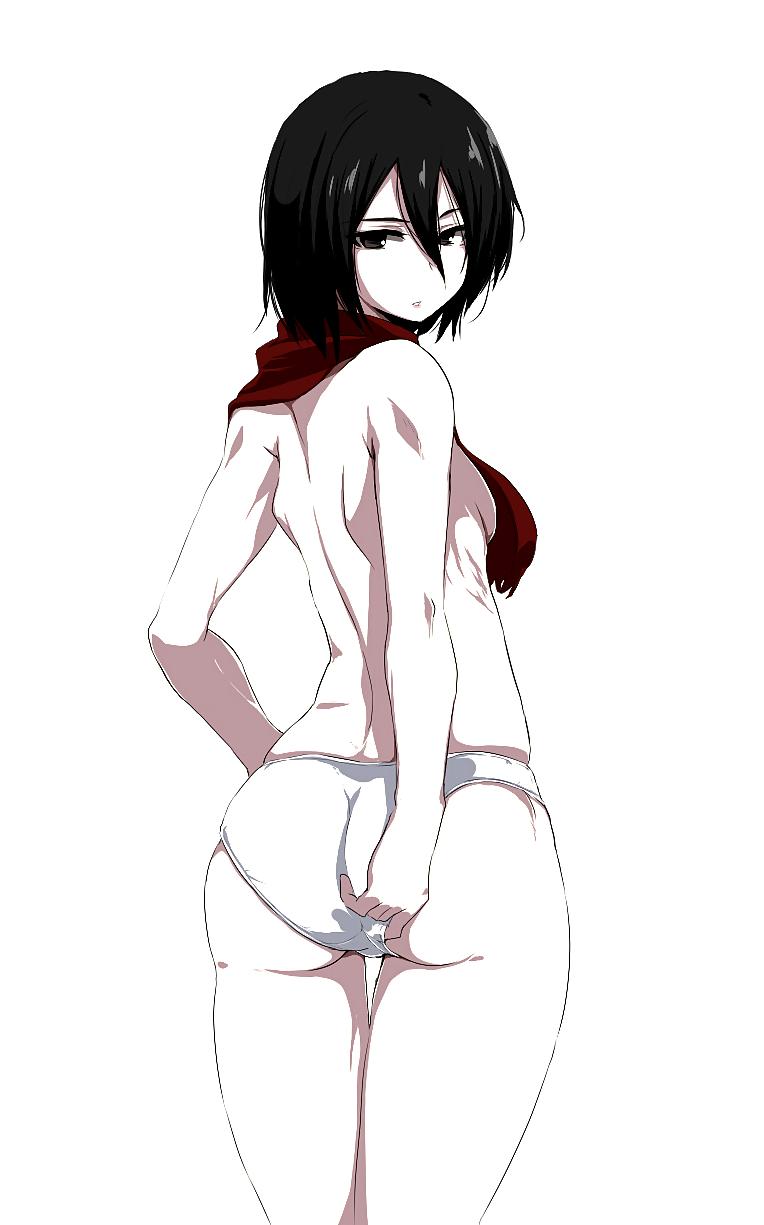 25P Attack on Titan Gallery