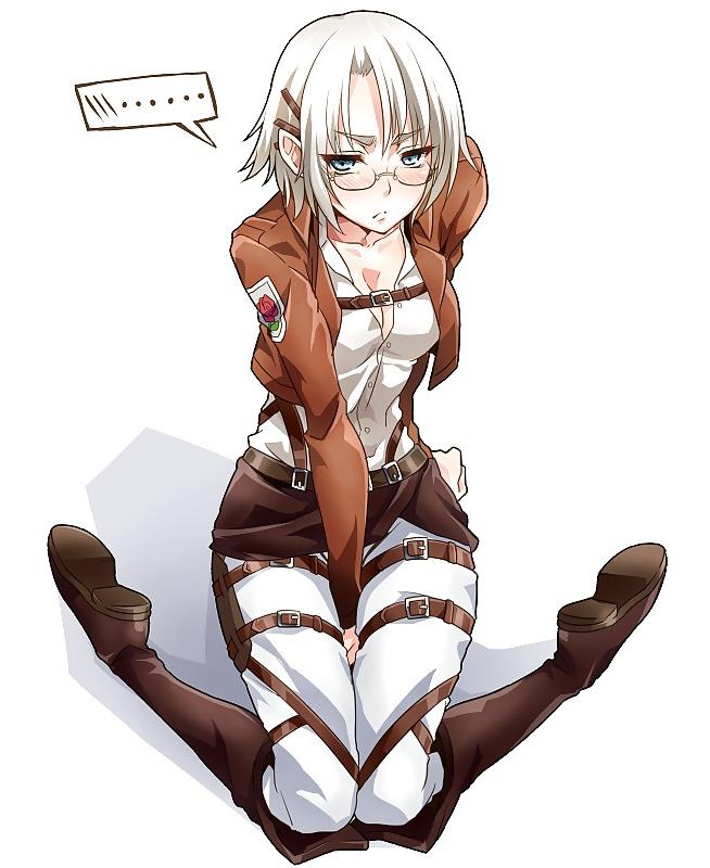 25P Attack on Titan Gallery