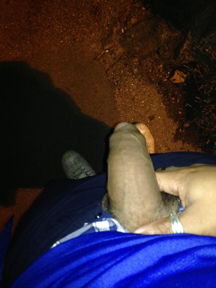 13P Desi Cock