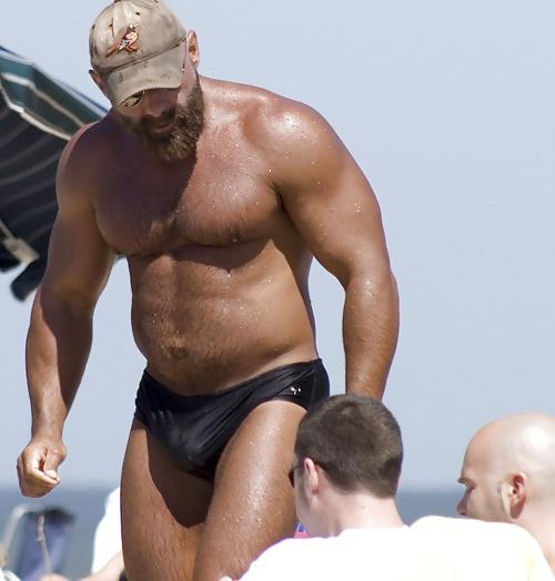 19P Daddy and their bulges