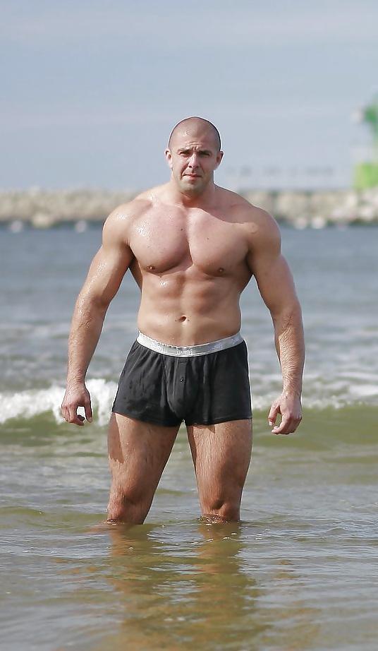 19P Daddy and their bulges