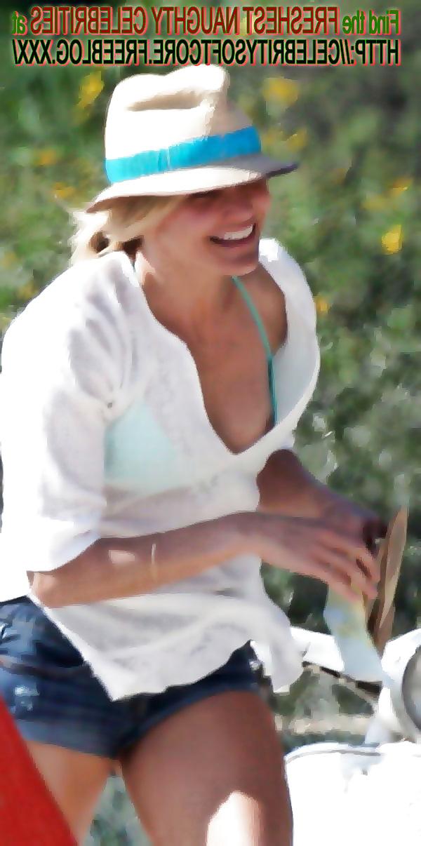 17P Cameron Diaz See-Thru