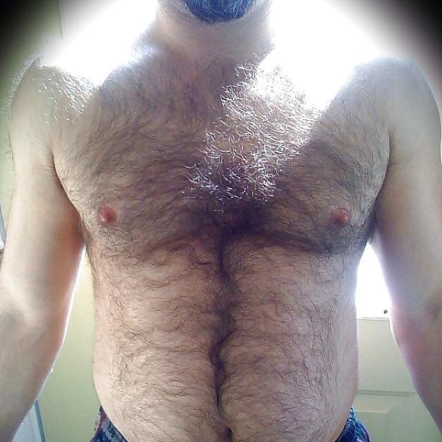6P Bear