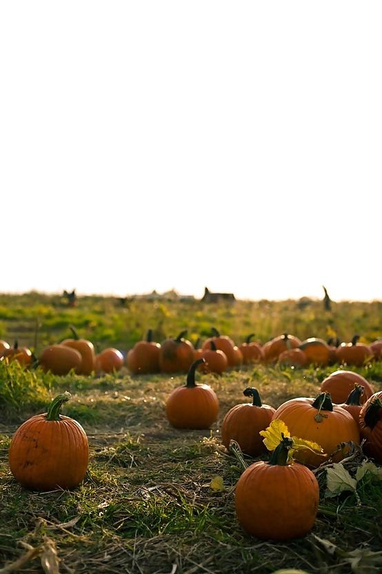 10P Happy Halloween !!