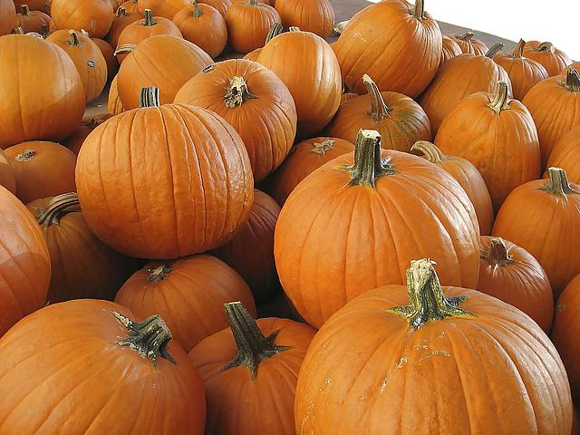 10P Happy Halloween !!