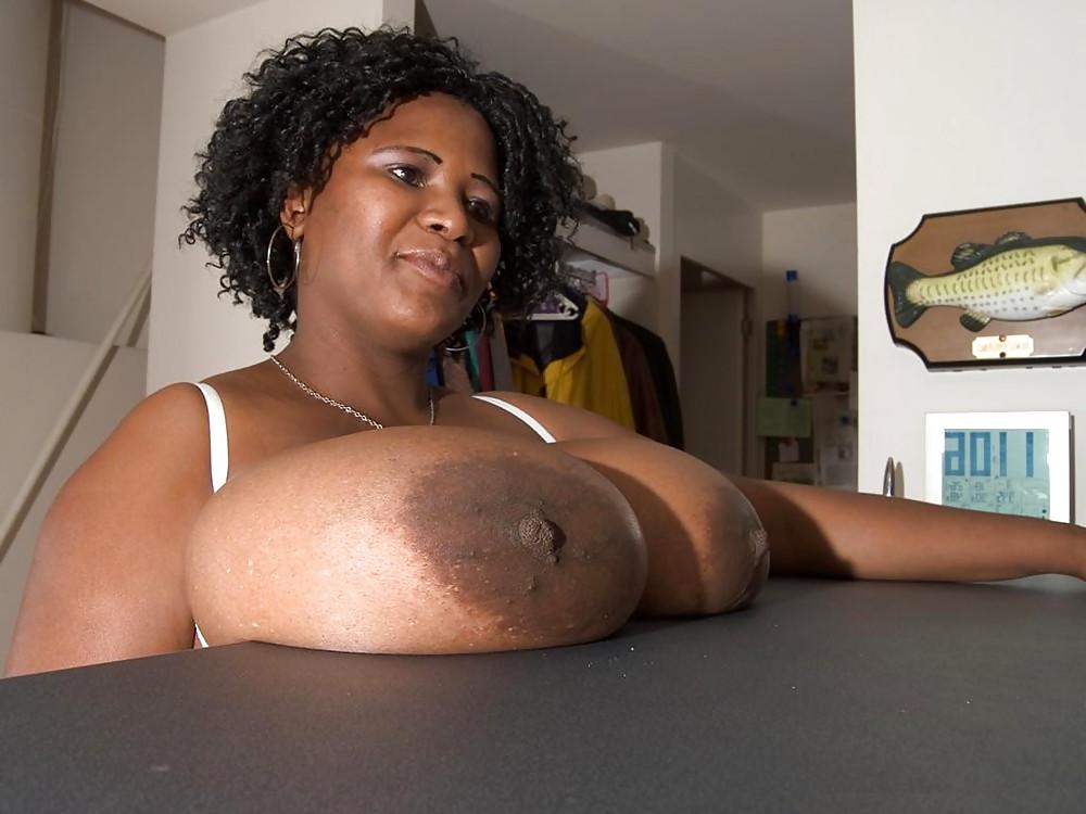 17P Tits on the table top