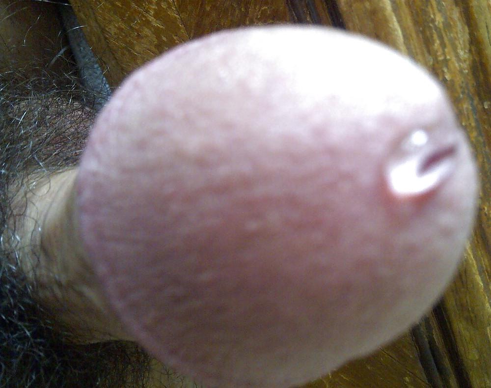 7P Quien quiere probarlo ? who wants to lick it up?