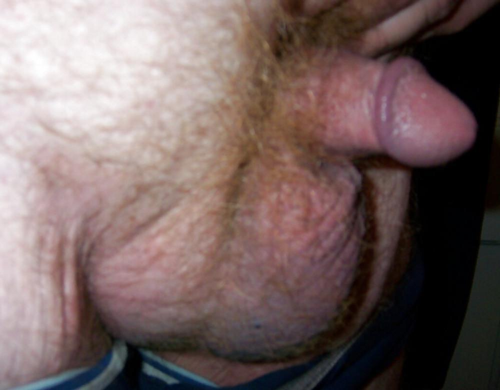 10P Happy New year cock