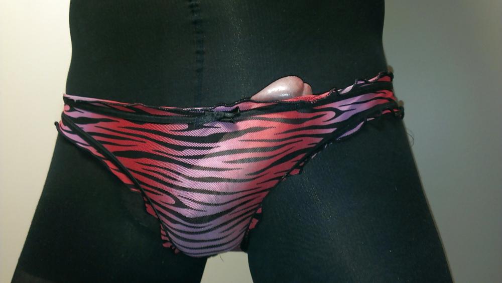 4P Panties and hose