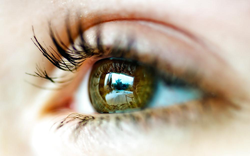 25P Through your eyes, I have found the universe (Part VII)