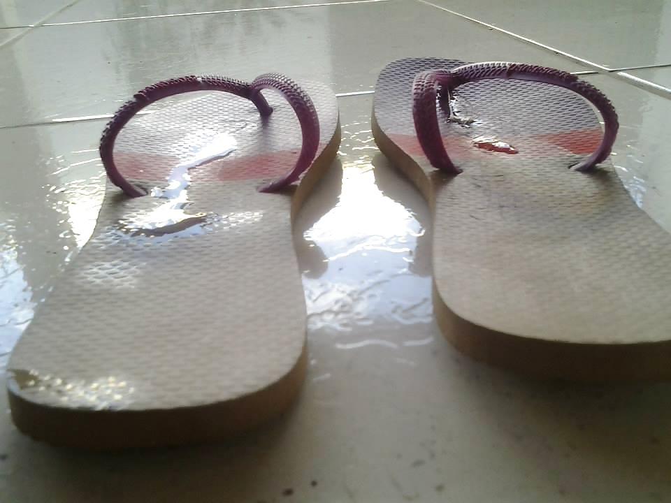 25P HAVAIANAS FLAT DAS PRIMAS