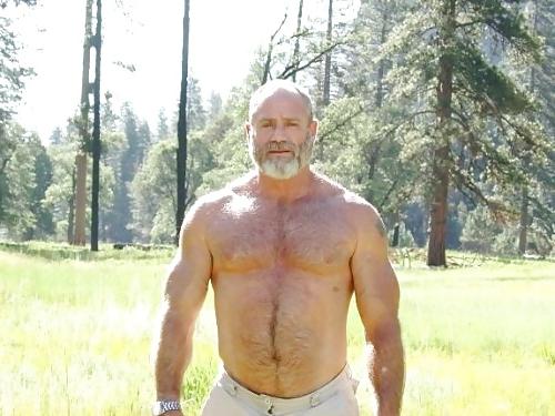 25P Daddy bear