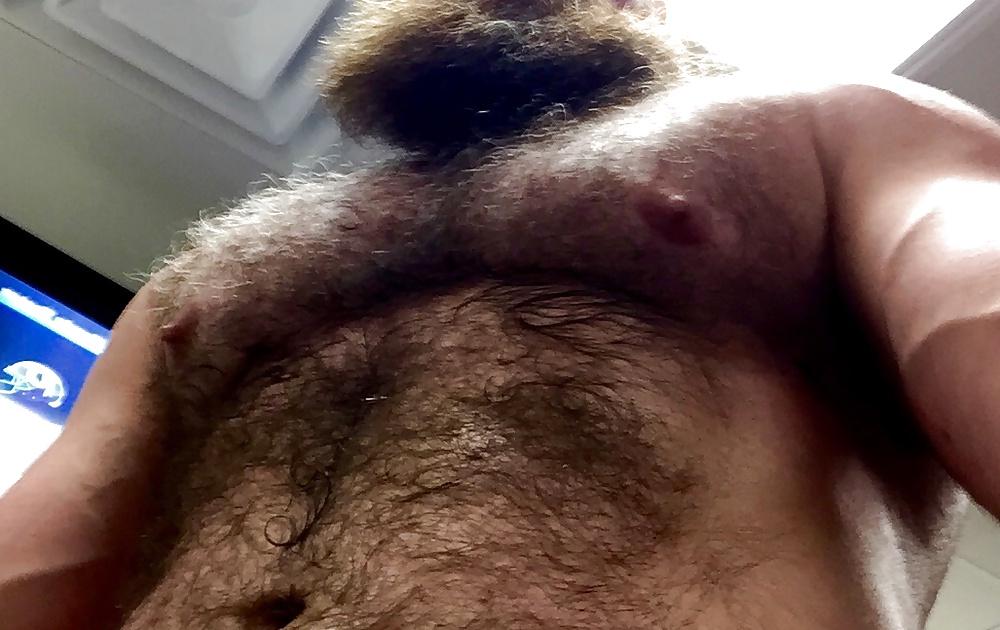 25P Daddy bear