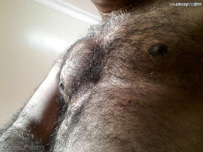 25P Daddy bear