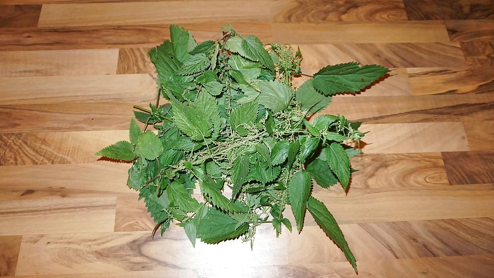24P Foot torture with nettles (Brennnesseln High Heels)